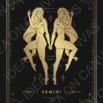 Gemelli -