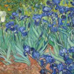 Iris - Vincent van Gogh