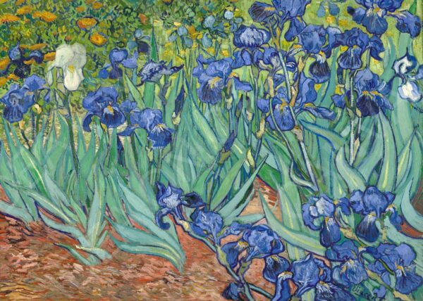 Iris - Vincent van Gogh