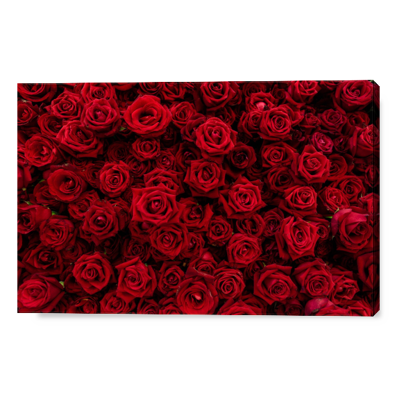 Cover Rose Rosse