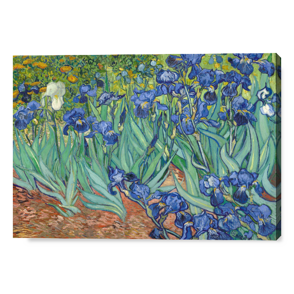 Cover Iris - Vincent van Gogh