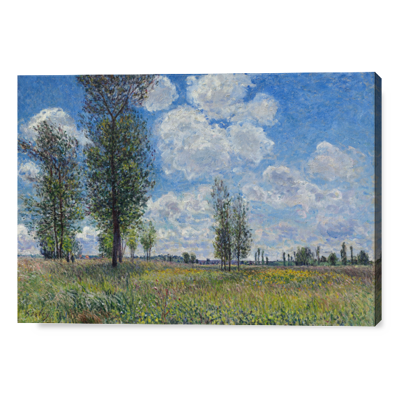 The Meadow at Veneux-Nadon - Alfred Sisley